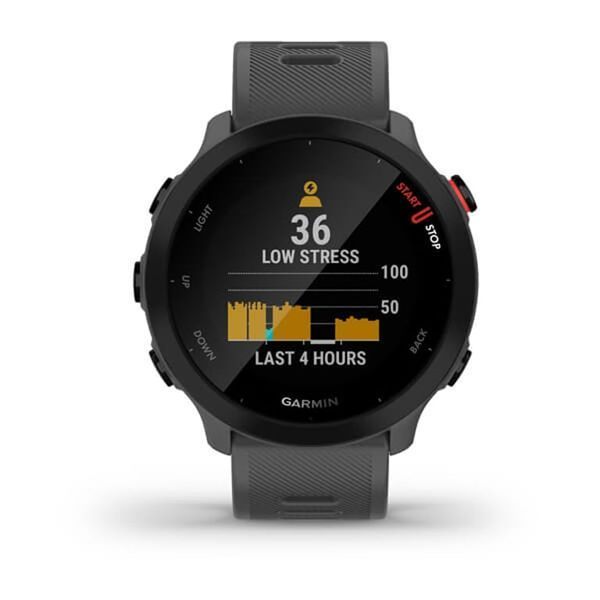 Смарт-годинник Garmin Forerunner 55 Monterra Grey (010-02562-13) 613070 фото