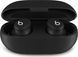 Навушники TWS Beats by Dr. Dre Solo Buds Matte Black (MUVW3) 511169 фото 2