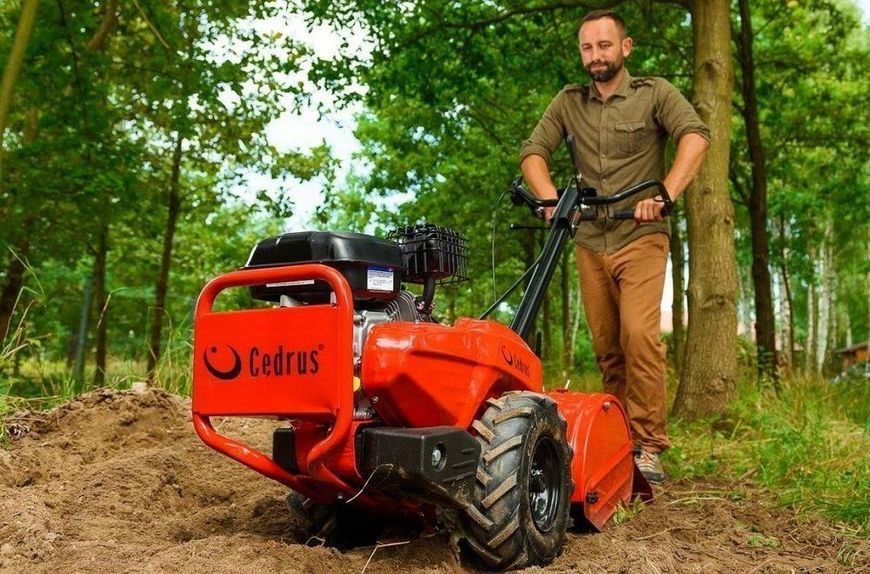 Культиватор бензиновий Cedrus GL03PRO-LC 557464 фото
