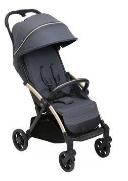 Прогулянкова коляска Chicco Goody XPlus Grey (87040.27) 643756 фото