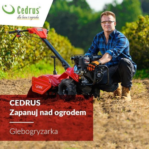Культиватор бензиновий Cedrus GLX480 557468 фото