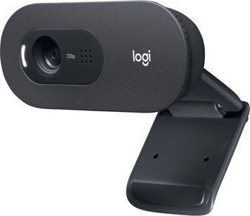Веб-камера Logitech C505e HD (960-001372) 325492 фото