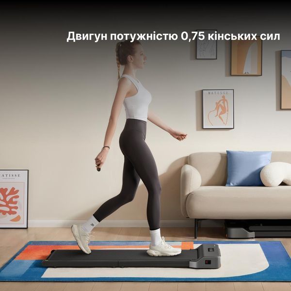 Дорожка для ходьбы Kingsmith WalkingPad Z1F 639887ua фото