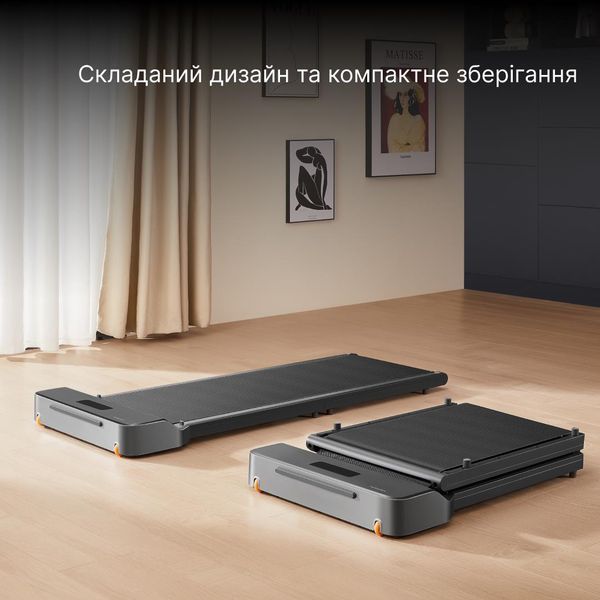Дорожка для ходьбы Kingsmith WalkingPad Z1F 639887ua фото