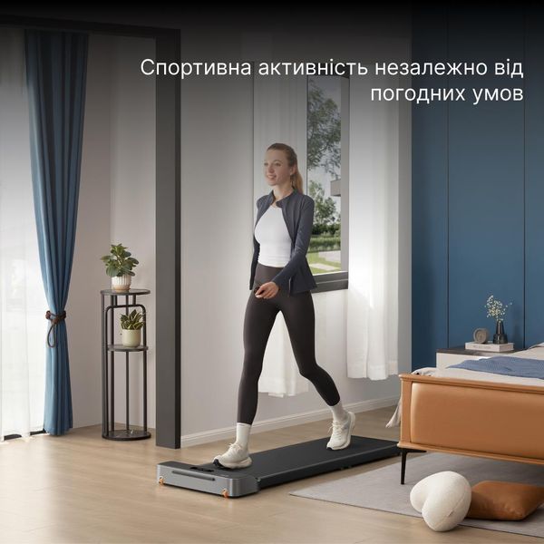 Дорожка для ходьбы Kingsmith WalkingPad Z1F 639887ua фото