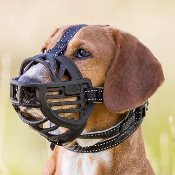 Намордник TRIXIE MUZZLE FLEX MAULKORB 10000608 фото