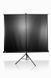 Проекційний екран Elite Screens T120UWH 523978ua фото 6