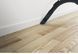 Пилосос безмішковий Hoover HP320PET 011 645976 фото 4