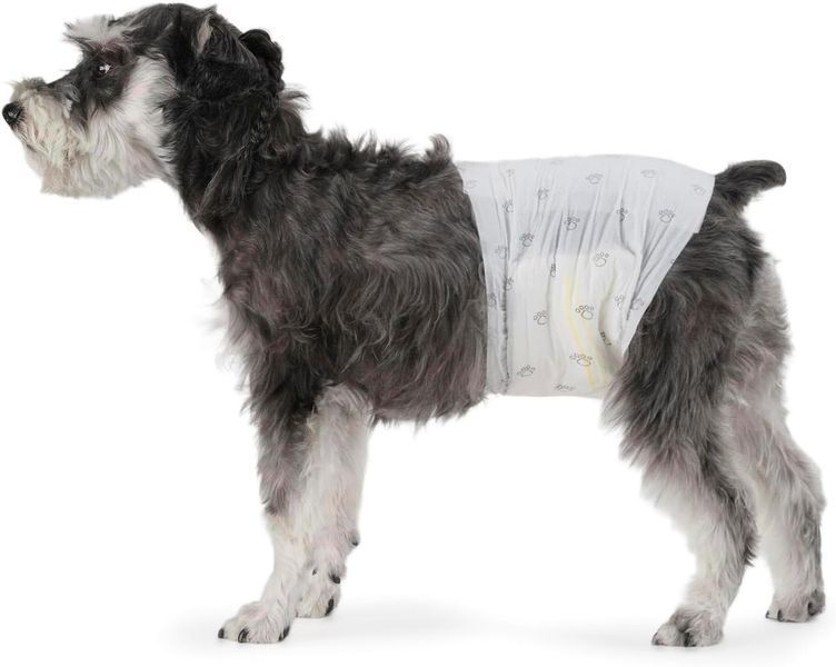 Післяопераційні пелюшки для собак AMAZON BASICS MALE WRAP-M 10000766 фото