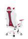 Комп'ютерне крісло для геймера Diablo Chairs X-One 2.0 Candy (L) Rose 352943 фото 4
